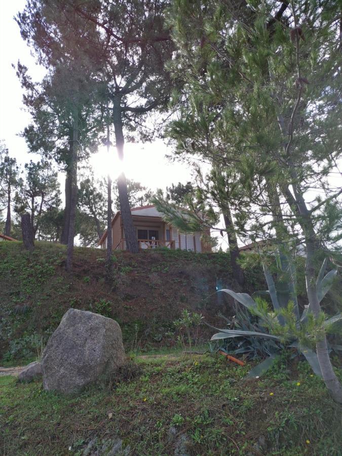 Camping Tikiti Propriano  Esterno foto