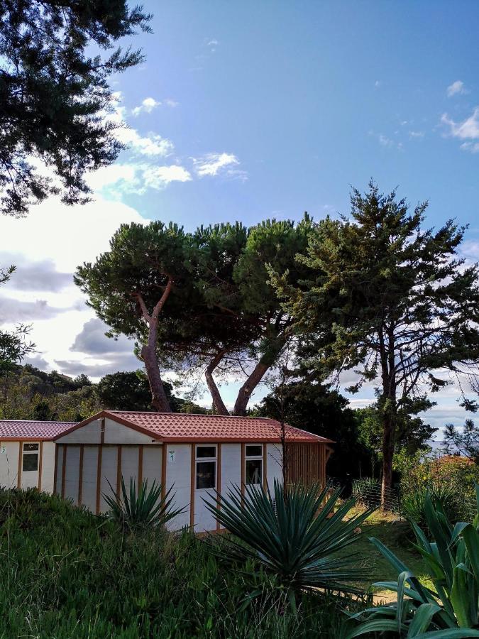 Camping Tikiti Propriano  Esterno foto