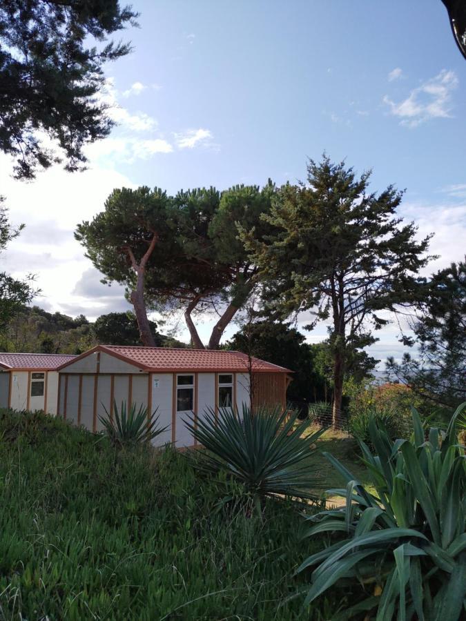 Camping Tikiti Propriano  Esterno foto